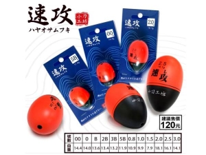 速攻 海釣阿波